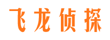 开福市侦探调查公司